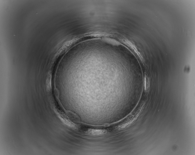 X0000100840205200806271120