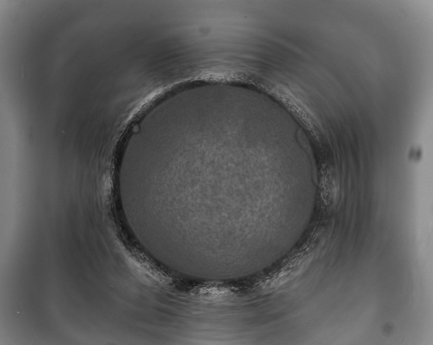 X0000100840208200806271120