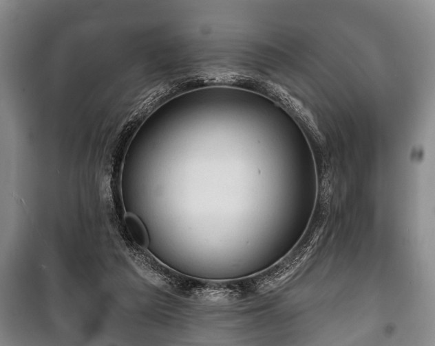 X0000100840209200806271120