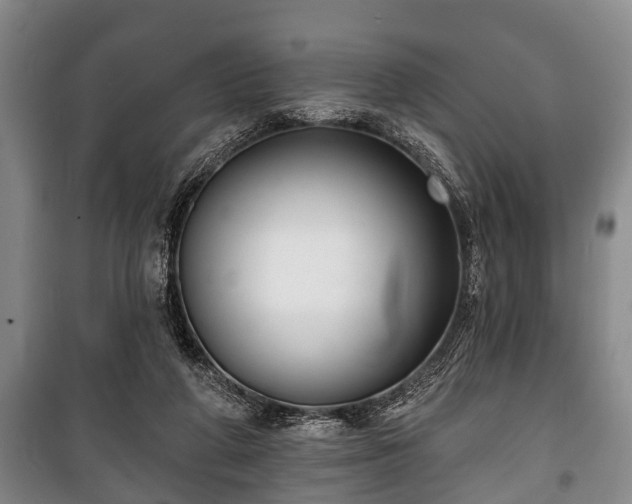 X0000100840210200806271120