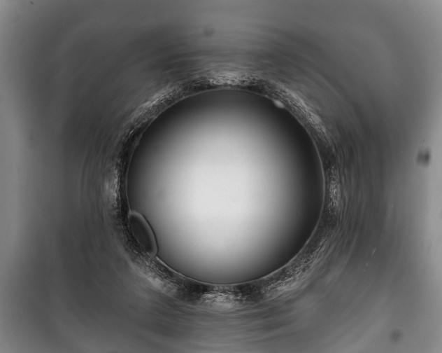 X0000100840211200806271120