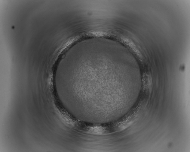 X0000100840212200806271120