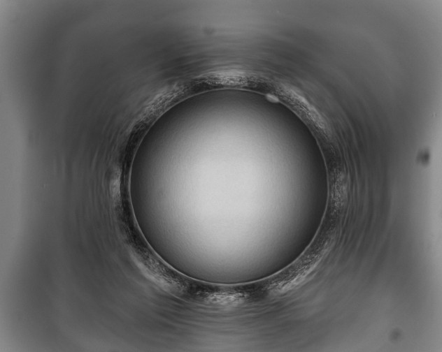 X0000100840213200806271120