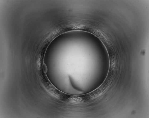 X0000100840215200806271120