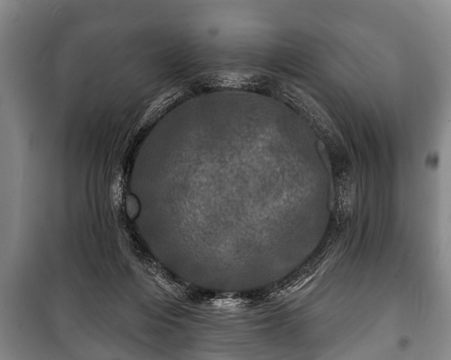 X0000100840216200806271120