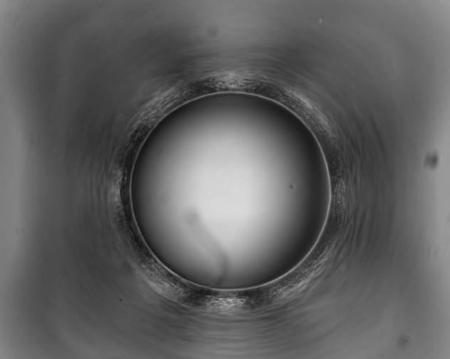 X0000100840217200806271120