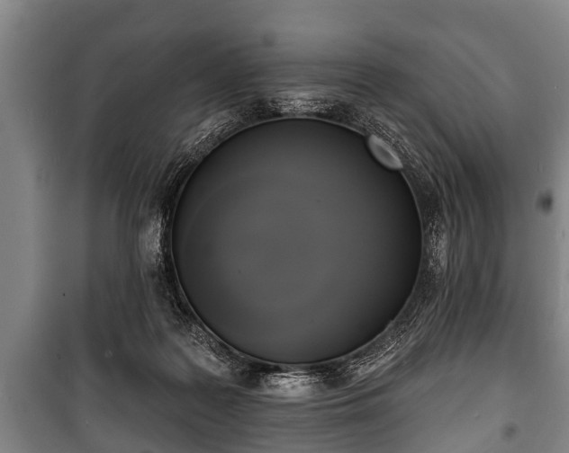 X0000100840219200806271120