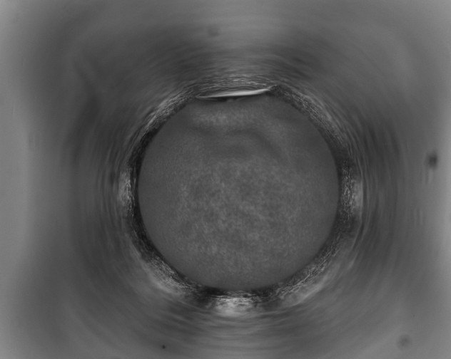 X0000100840220200806271120