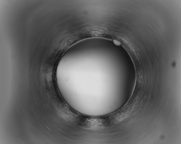 X0000100840221200806271120