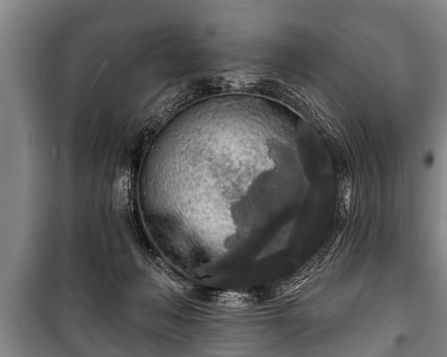 X0000100840222200806271120