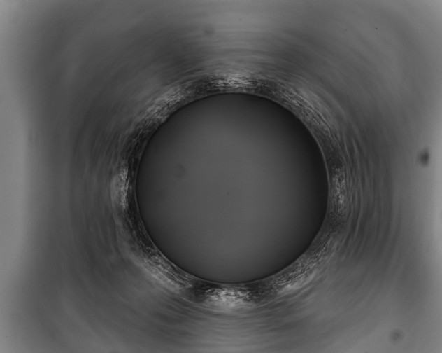 X0000100840223200806271120