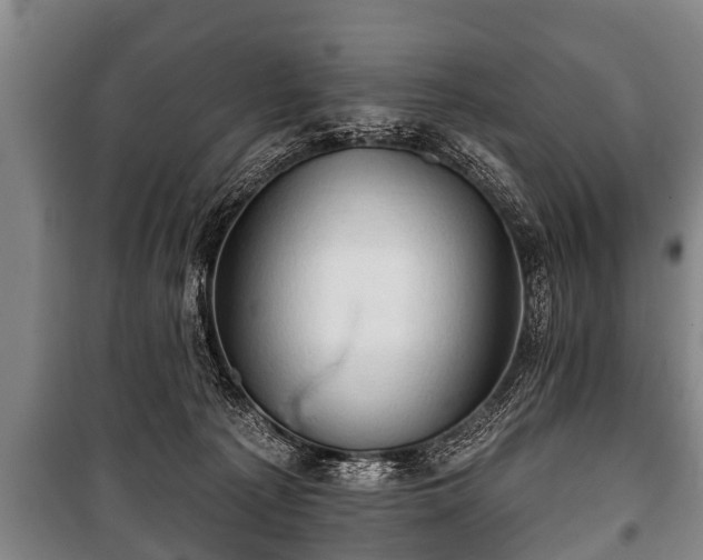 X0000100840225200806271120