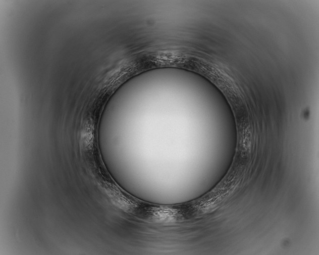 X0000100840226200806271120