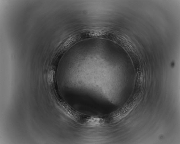 X0000100840227200806271120