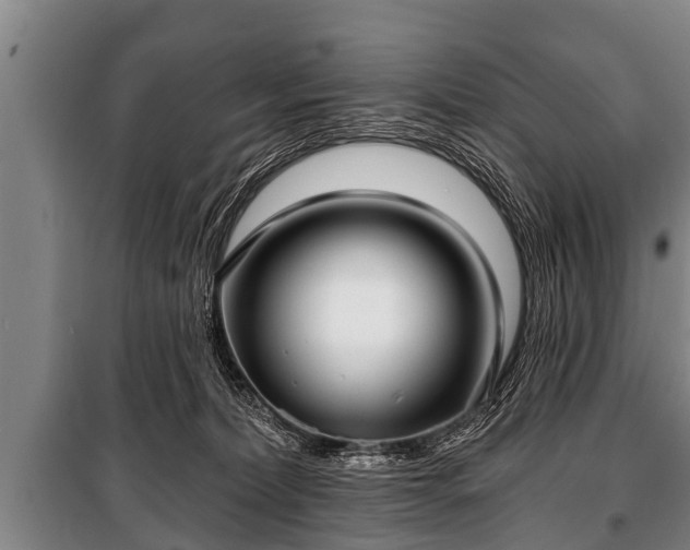 X0000100840228200806271120