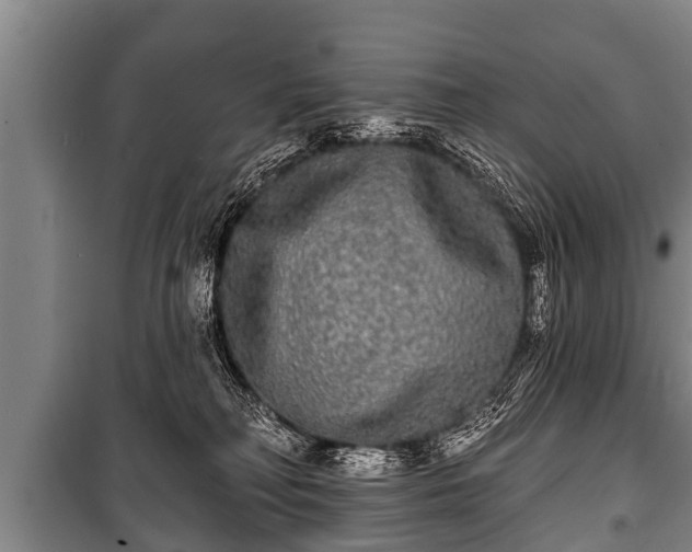 X0000100840230200806271120