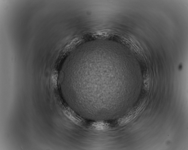 X0000100840231200806271120