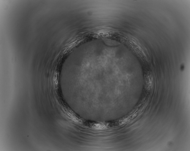 X0000100840232200806271120