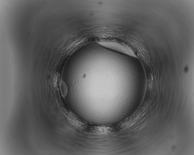 X0000100840233200806271120