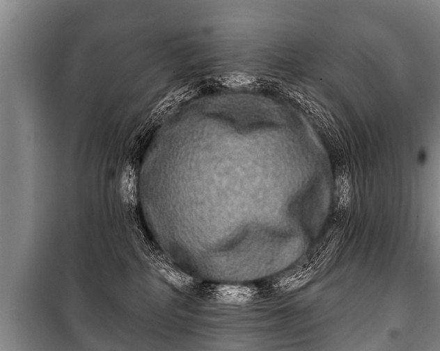 X0000100840234200806271120