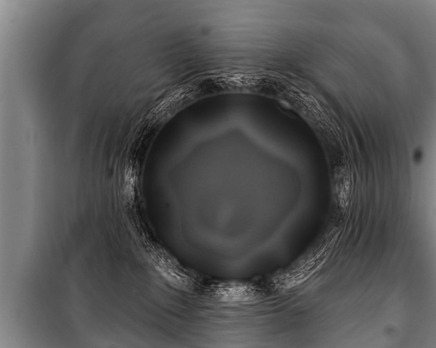 X0000100840235200806271120