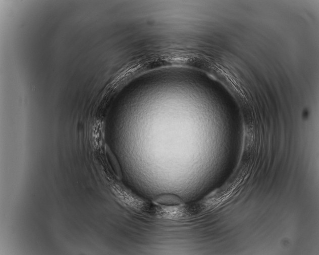 X0000100840237200806271120