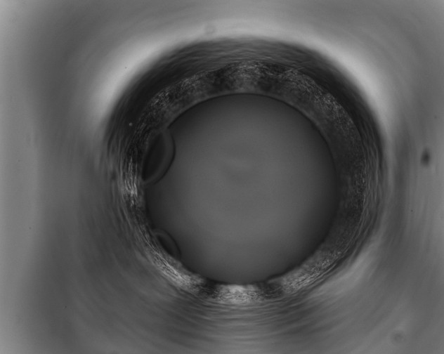 X0000100840239200806271120