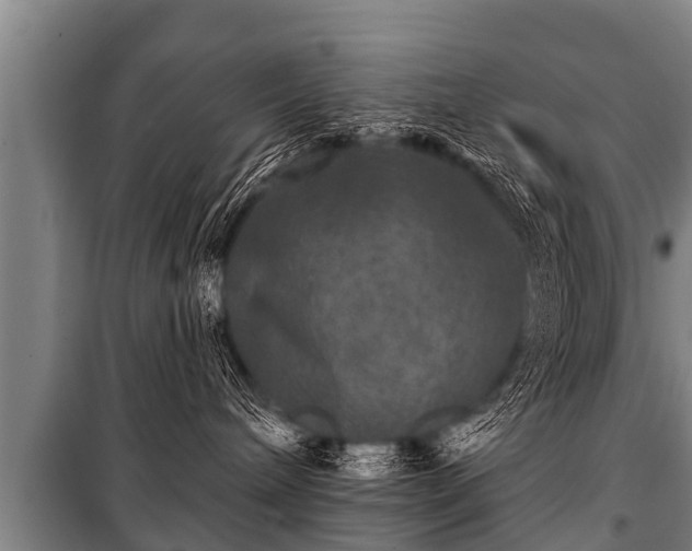 X0000100840240200806271120