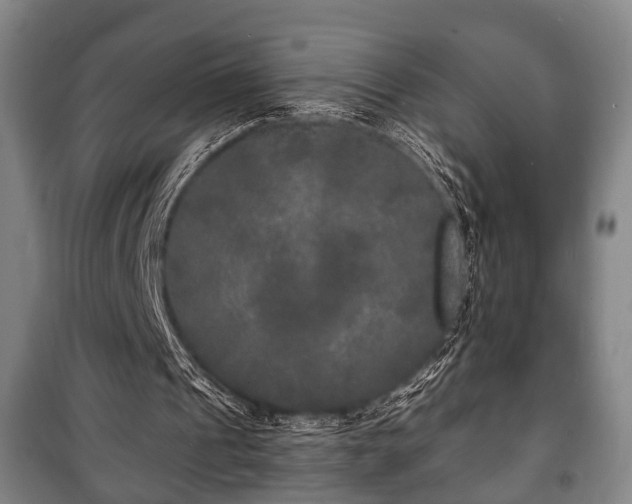 X0000100840241200806271119