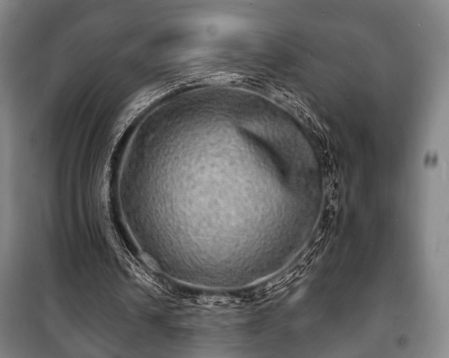 X0000100840242200806271119