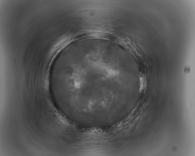 X0000100840243200806271119