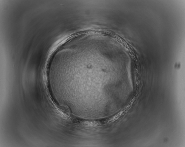 X0000100840245200806271119