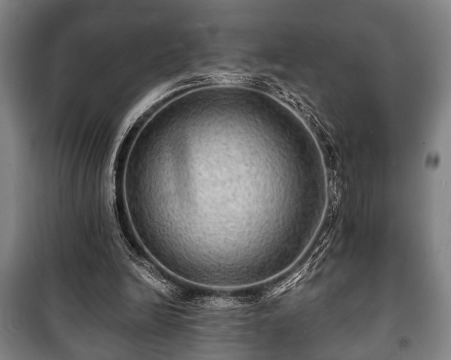 X0000100840246200806271119