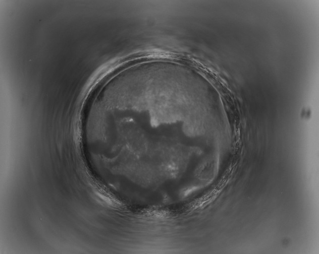 X0000100840247200806271119