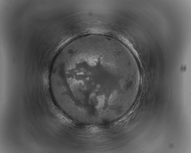 X0000100840249200806271119