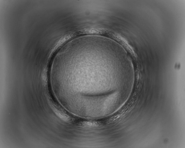 X0000100840250200806271119