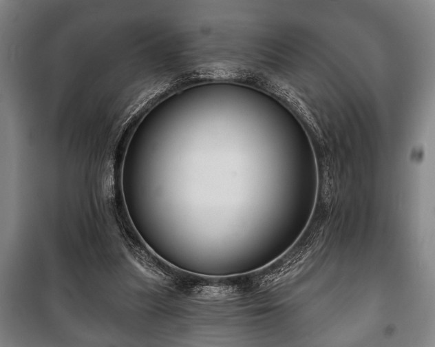 X0000100840251200806271119