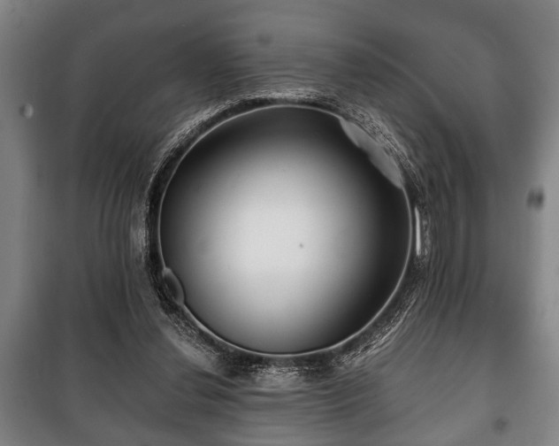 X0000100840252200806271119