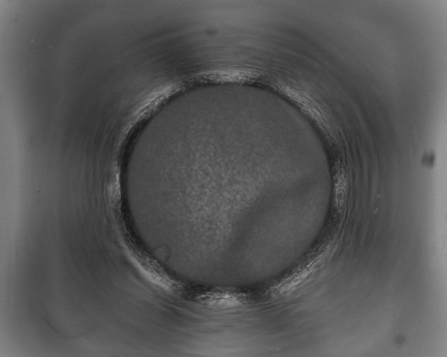 X0000100840254200806271119