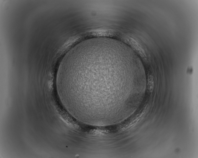 X0000100840255200806271119