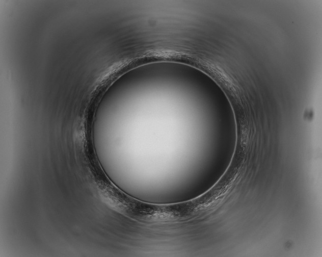 X0000100840256200806271119