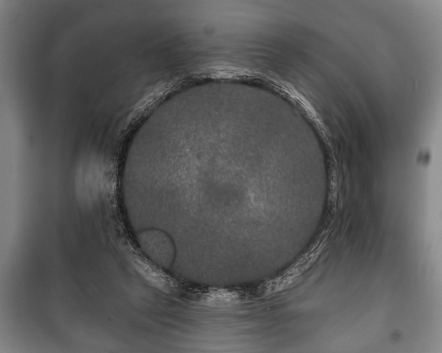 X0000100840257200806271119