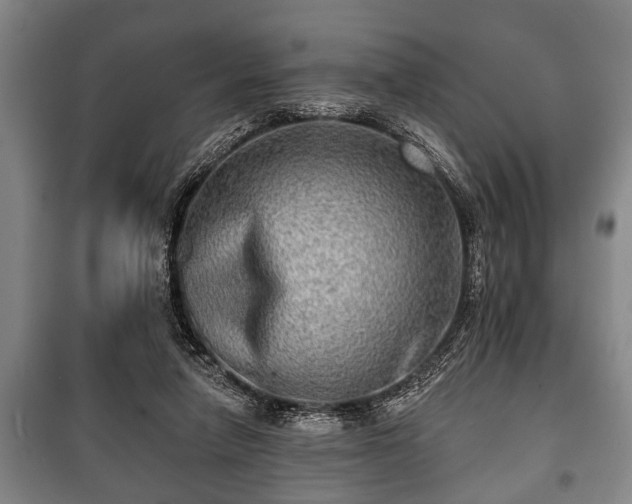 X0000100840258200806271119