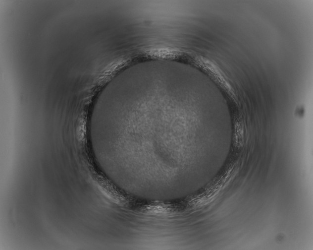 X0000100840259200806271119