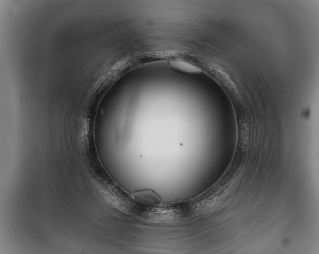 X0000100840260200806271119