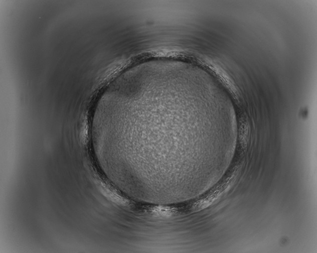 X0000100840261200806271119