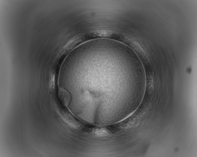 X0000100840262200806271119