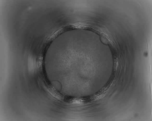 X0000100840263200806271119