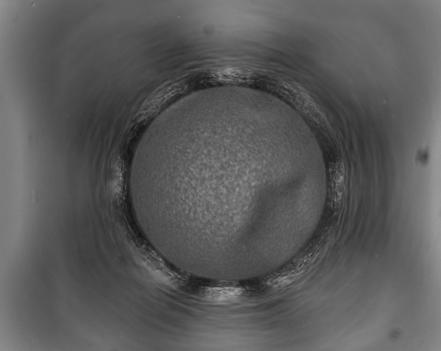 X0000100840266200806271119