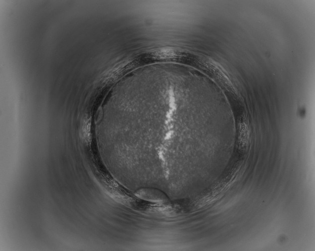 X0000100840267200806271119